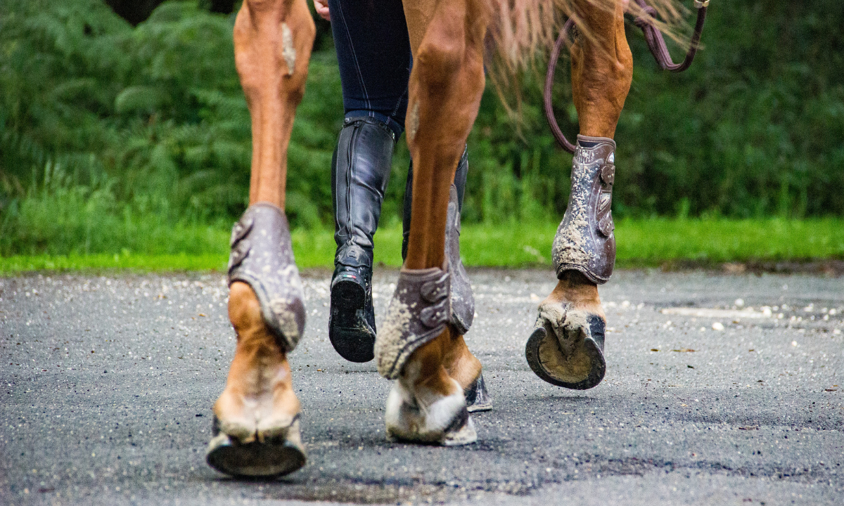 Cheval cagneux, conséquences et risques